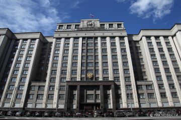 В Госдуму внесли проект об отмене пошлин для волонтеров из новых регионов