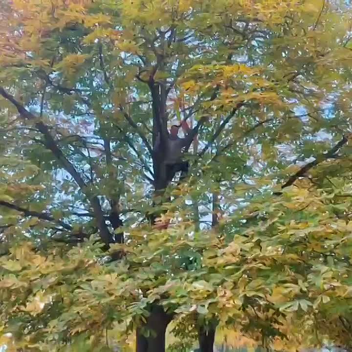 Московские дошкольники помогли животным заповедника «Аскания-Нова»