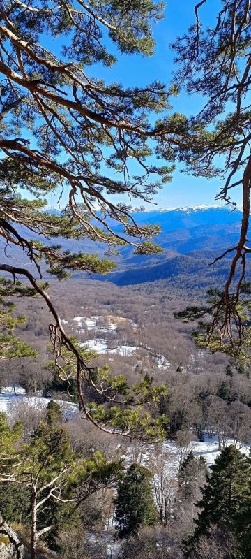 ������ ����!. ������� ������� � ����� �������� ���� ������, ����������� ������� �����, � ��� ������, ��� ���� ������� ������ ��������� ����������� �����������, ������� � ������������� �������