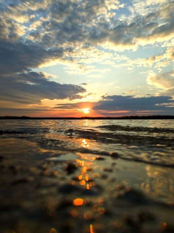 ���������� �� ��������: ������� �������, ��� ������� � ��������� �� ��������� ������� ���������� ����-��������!