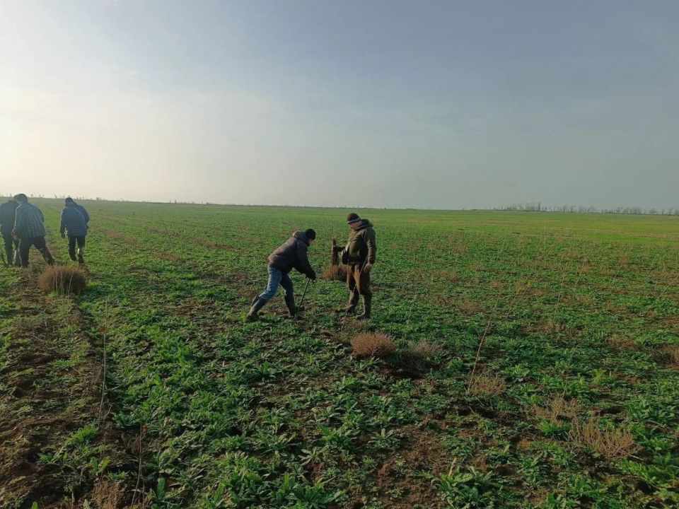 �������� ��������������� ���� �� ������� ����� � ������������ �������