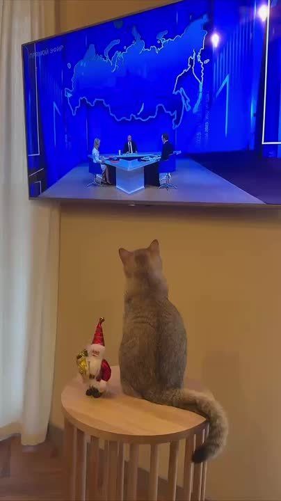 ��� ����� ������� ����� ����������� ����������� ��������� �������������