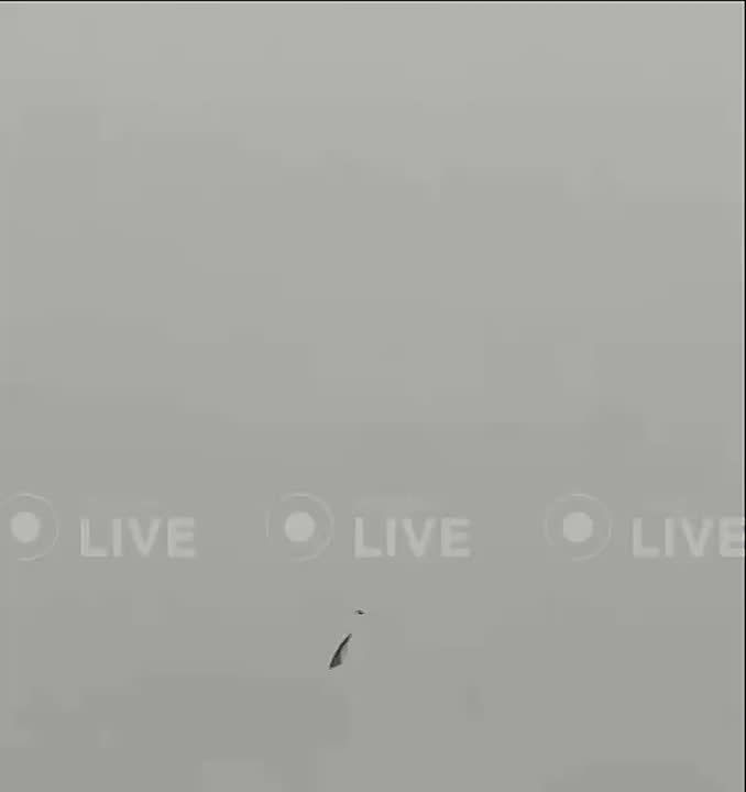 ��� ������ ��������� ������� ���������� ����