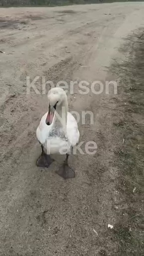 ������ ������!. � ������ ��������� (��������) ����� ������������ ������, �������� ����� �� ������