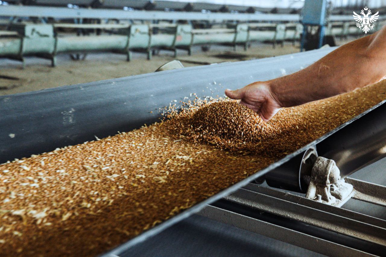 Предприятия Херсонской области увеличили объёмы отгрузок на 76%