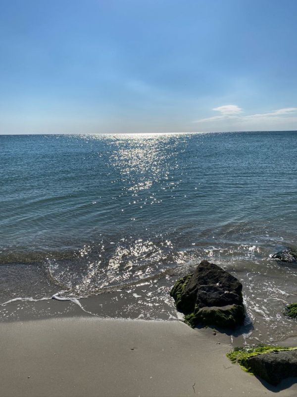 �������� �������� �������� ��������: ������ �������� ��������������