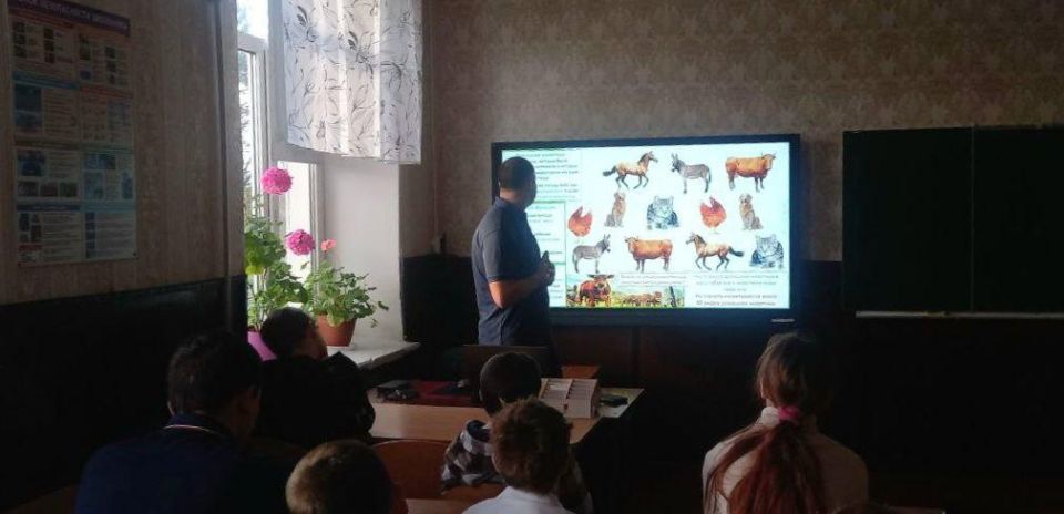 ������� ���� ���������� �������������� ��������� � �������� ��������