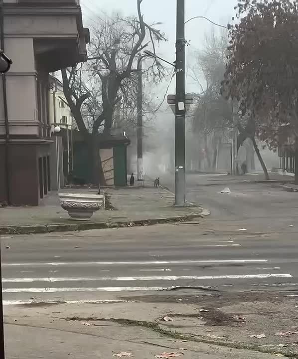 "���� ����� ������ � ���� ��������" - ��� ������ ����� ������� ����� �����