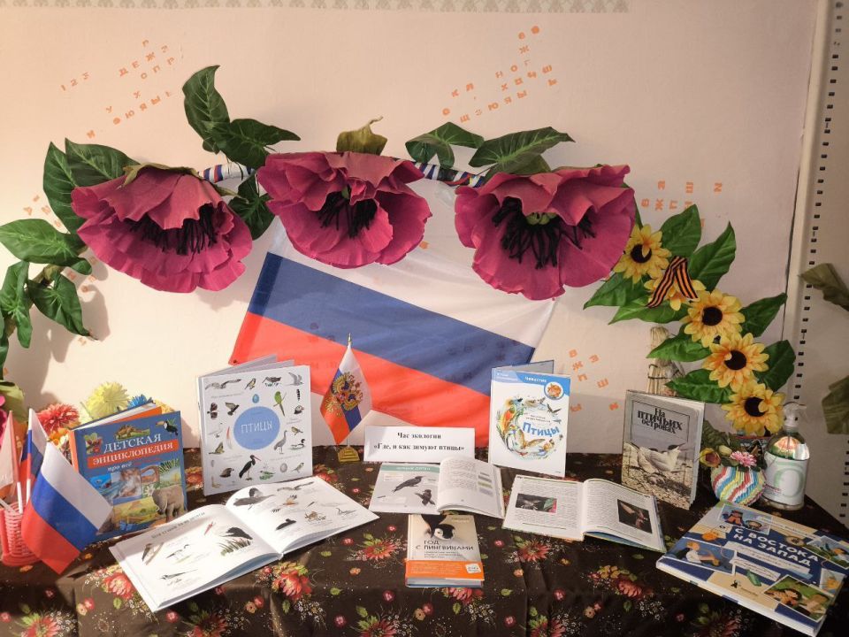 22 декабря в Вольновской библиотеке прошло мероприятие - час экологии "Где, и как зимуют птицы"