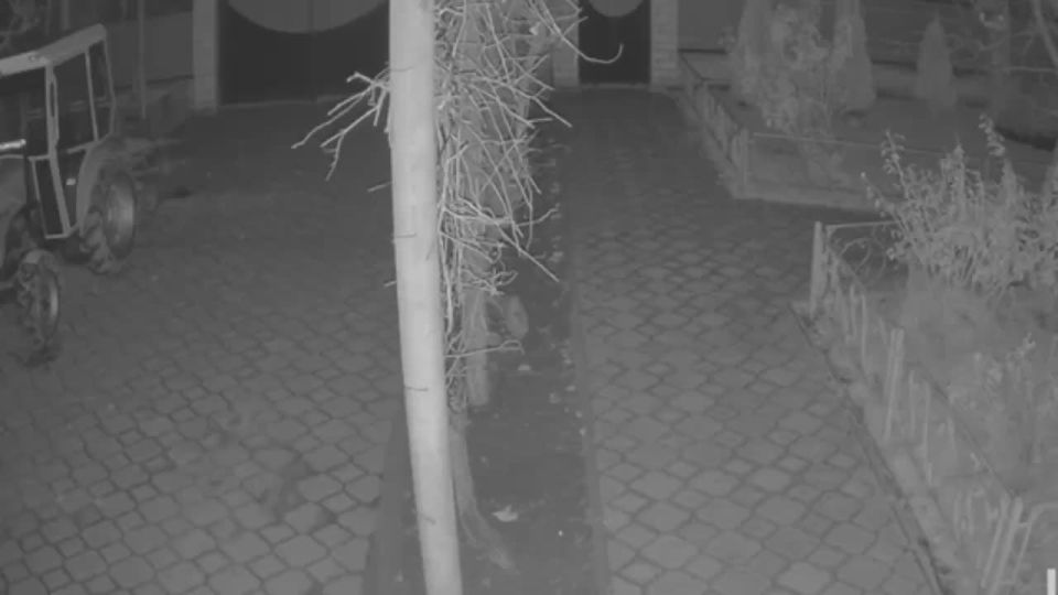 Родион Мирошник: За минувшую неделю в Алешкинском округе Херсонской области пострадало 6 мирных жителей, двое из них погибли