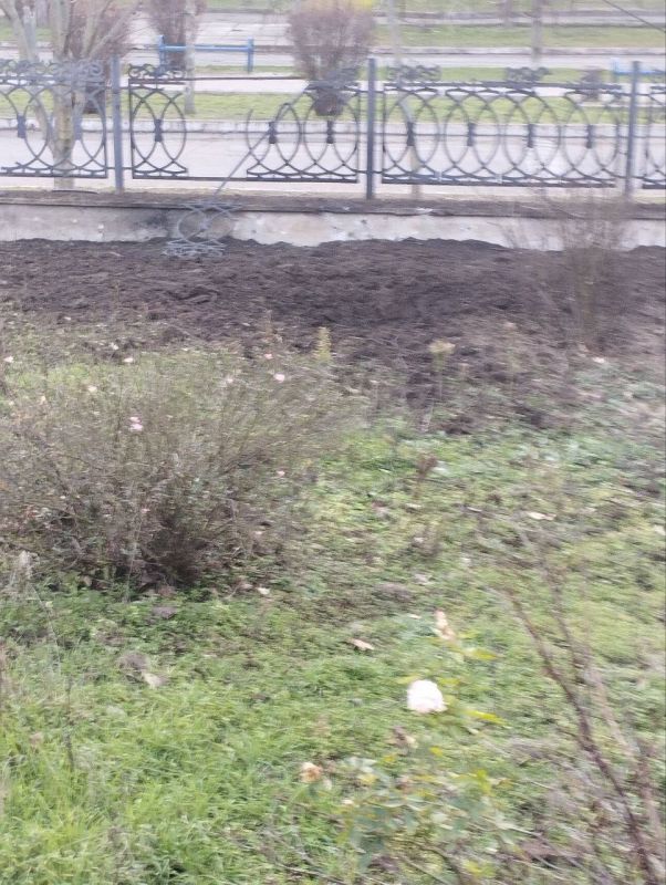 ��� ���� ���� �� �������: ��� ������� ������ ����� � �������� �������