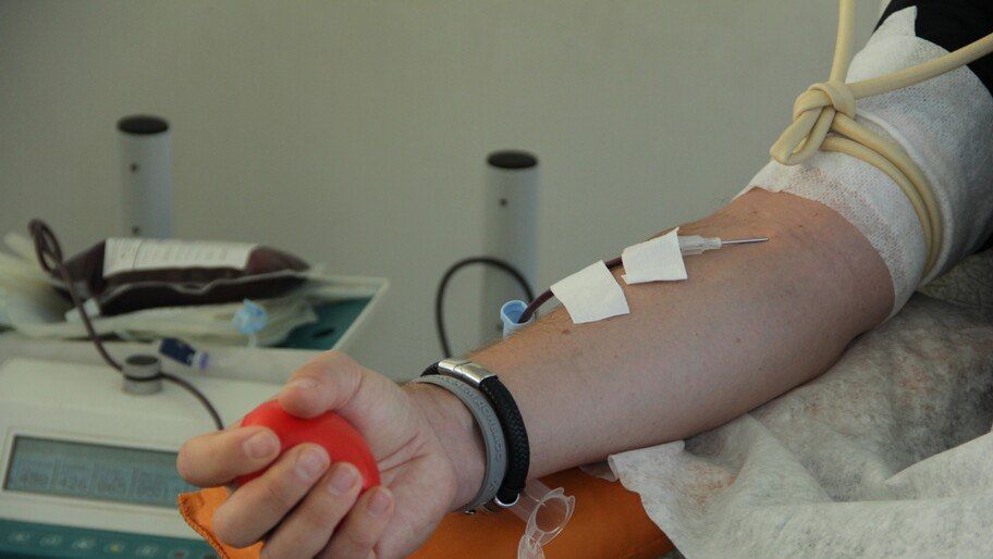 �������������� ������ �������� ���������� ������� 42 ����� �����