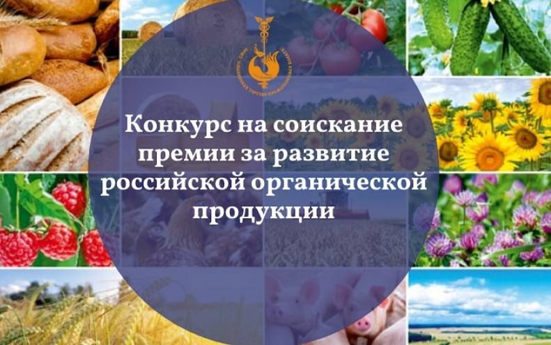 ������� �� ��������� ������ �� ���������� � �������� ���������� ������������ ���������