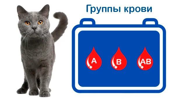 ������� ���������� ������� ���������� � ������� �� ������������� ������������ � ������ �������� ��������