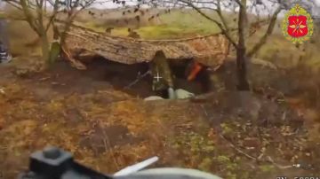 ������������� ����� ����������� ������ ���� ����� �� ���� ������������