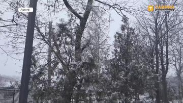 �����, �����, ������ ����, ������� ����� � �������� �� 18 �/� ��������� � ���������� ������� 26-28 �������