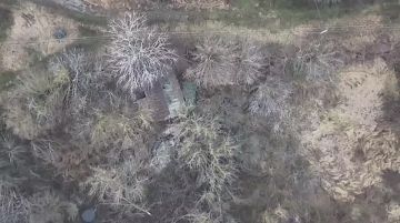 ���������: ����� �����л ���������� ��������� �������� � ���� ������ ��������