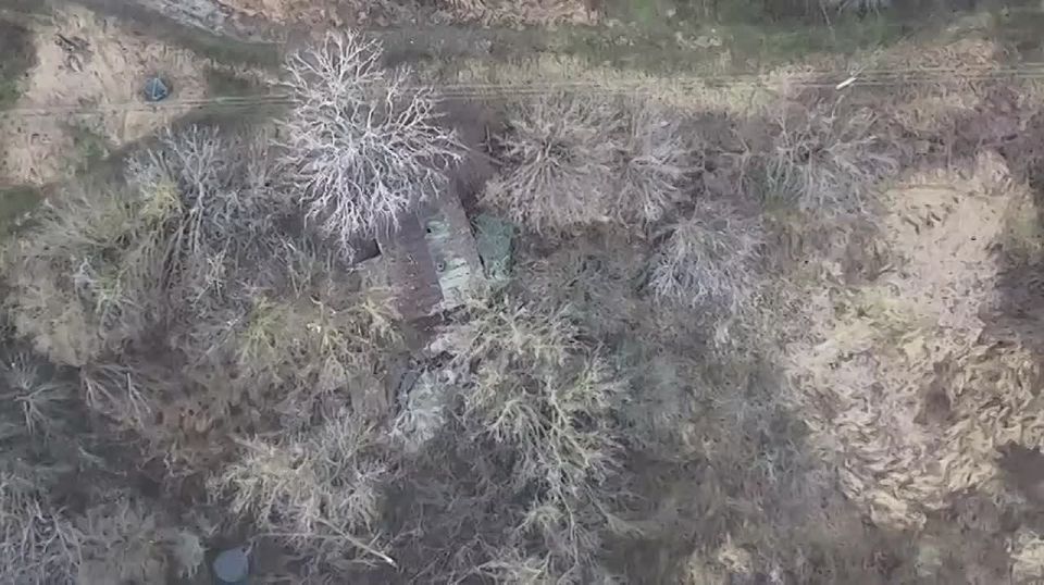 ���������: ����� �����л ���������� ��������� �������� � ���� ������ ��������