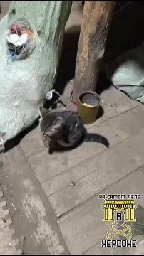 ��� ����� ������ ����� ����� ������ �� ����� �����������