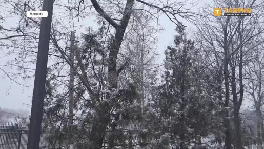 Вьюга, дождь, мокрый снег, сильный ветер с порывами до 18 м/с ожидаются в Херсонской области 26-28 декабря