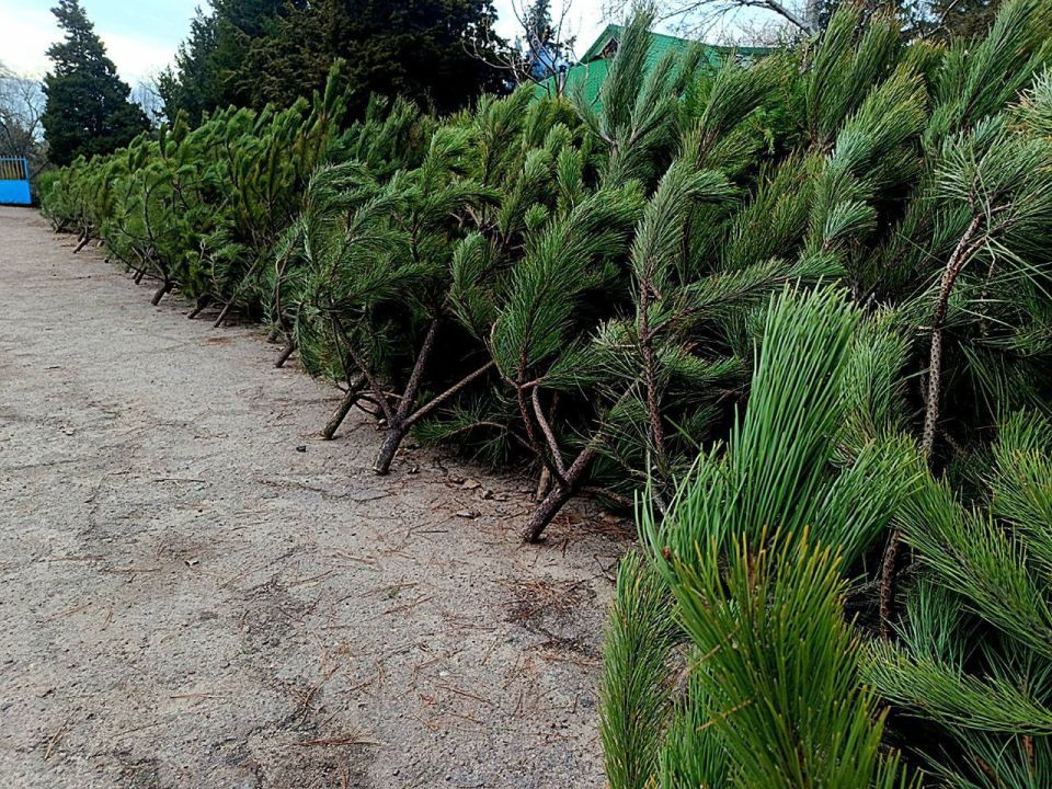 ��������� ����� ��� � ����� ����� � ��� ���������� � ���������!