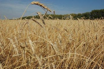 � ���������������� ���������� � ���������� ��������� ����� � ���������� �������