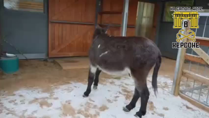 ����� ��� ����� ����� ���� ��� � ������!