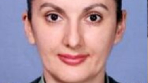 ������ ���������� "�������������". ��� ������ ������� ������ �� ������ � �������������� �������