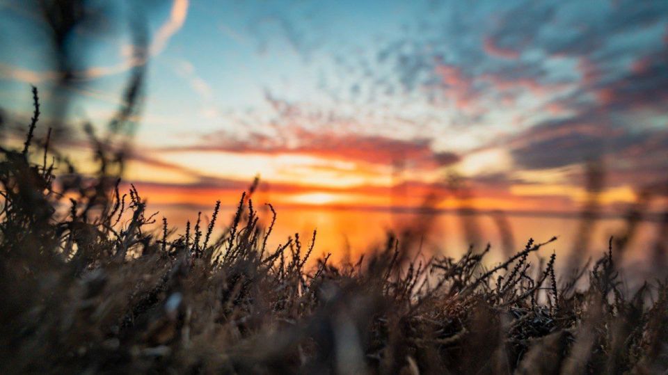 ���������� �������� �������� ���� ��� ���������� ��������