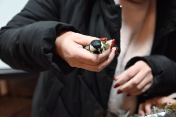 �������� ����� ������� � ����� � ���������� ������ ����