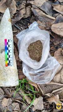 � ���������� ������ ������� ������ ������������ �������� � 54-������� �������