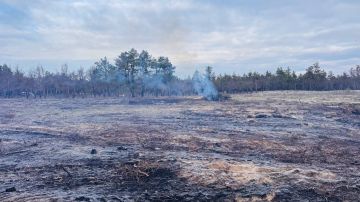 ��������������� ������ �������� ���������� ������ ���������� �������� ����������