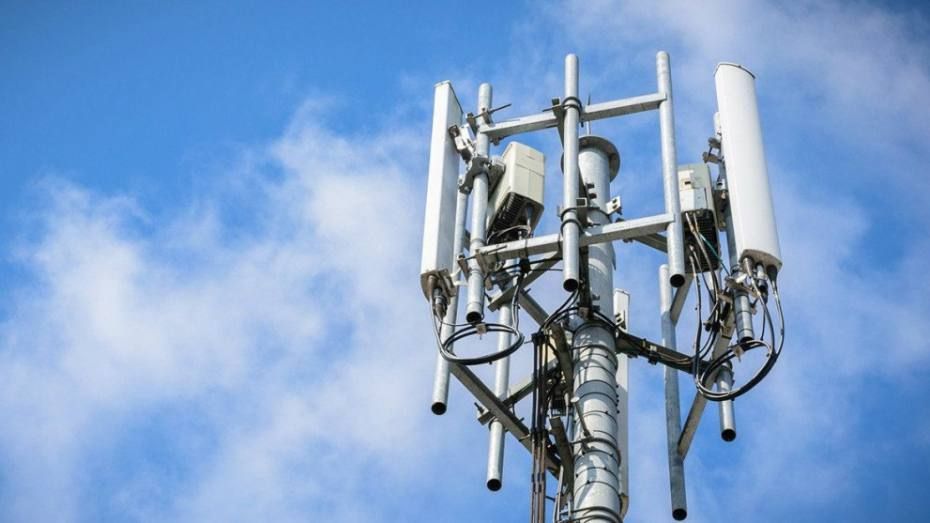 �� �������������� ����������� � 2025 ���� ��������� ����� 3,5 ����� ������� �������