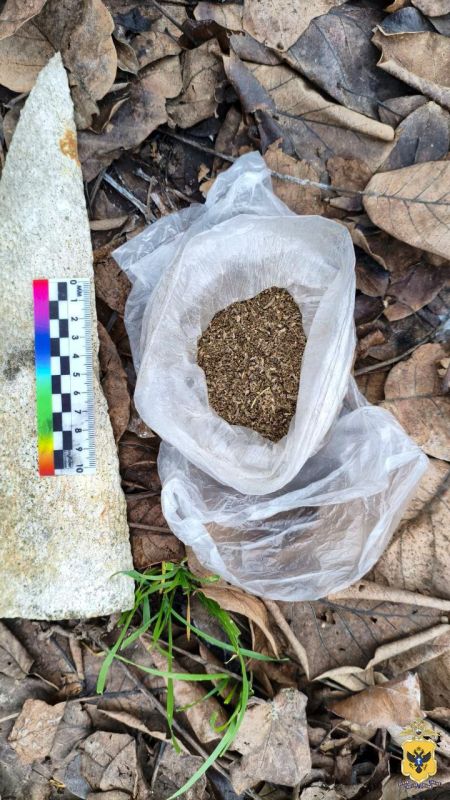 ������ �������� ������ �� 3-� ��� ���������� �� �������� ���������