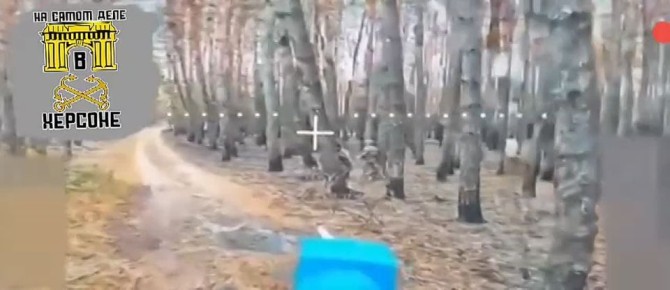 "Лесная Чистка": Наши воины выкорчевывают врага из херсонских лесов!