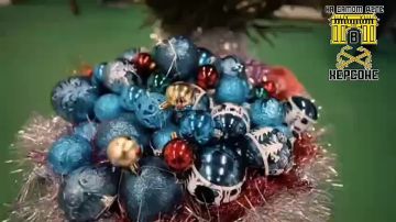 "Новогоднее Чудо": Во всех детских центрах новых регионов засияли ёлочки!