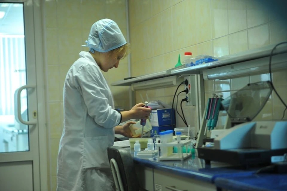 В Херсонской области с нарушениями собирали и перевозили молоко