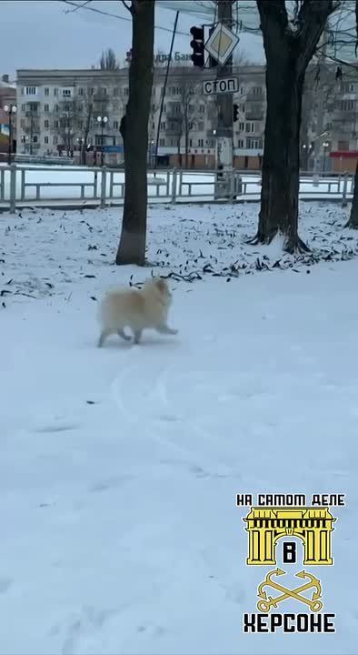 ������� �������� � �����: ���� �������� ����� � �������