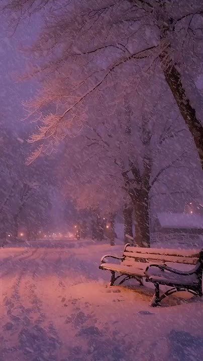 ������ ������.. ������ ����, ����������!