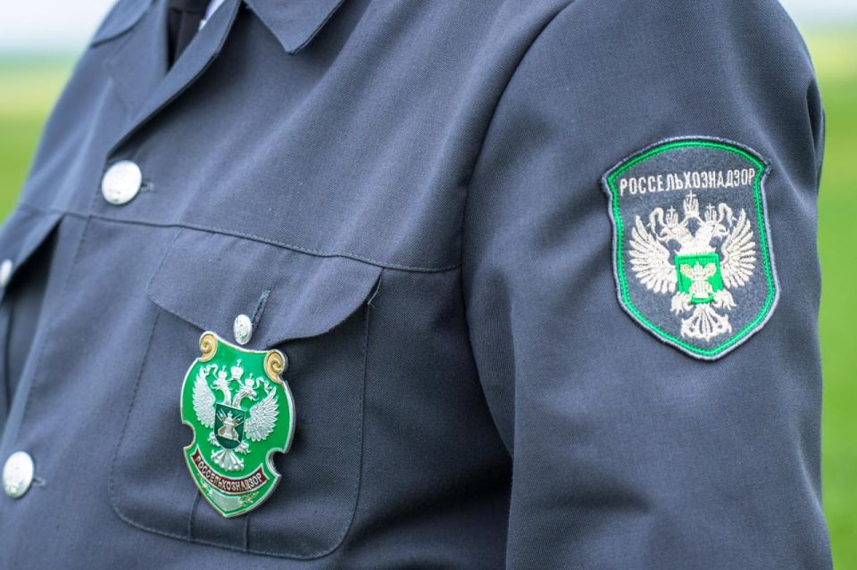 � 2025 ���� ������������������ � ���������� ������� ��������� ����� 100 ������������ ������