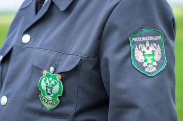 � 2025 ���� ������������������ � ���������� ������� ��������� ����� 100 ������������ ������