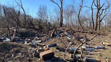 ���������� ����� �� �������. ��� ���������� � ������������ ������