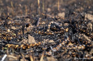 ВСУ за сутки нанесли 42 артиллерийских удара по Херсонской области