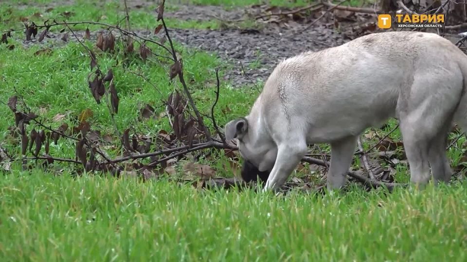 �������� ������ ������� � ���������� ��������� ������������� ����������� ��������� �������� � ������ �� �������� �������