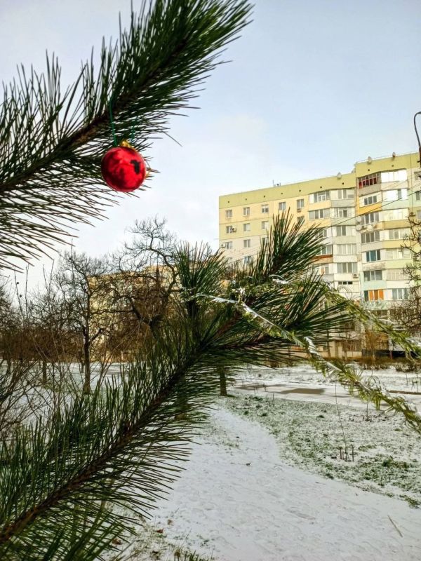 ������ ������.. ������ ����, ����������!