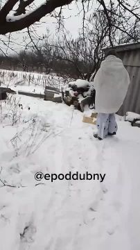 ����������� ��������� � ��������������