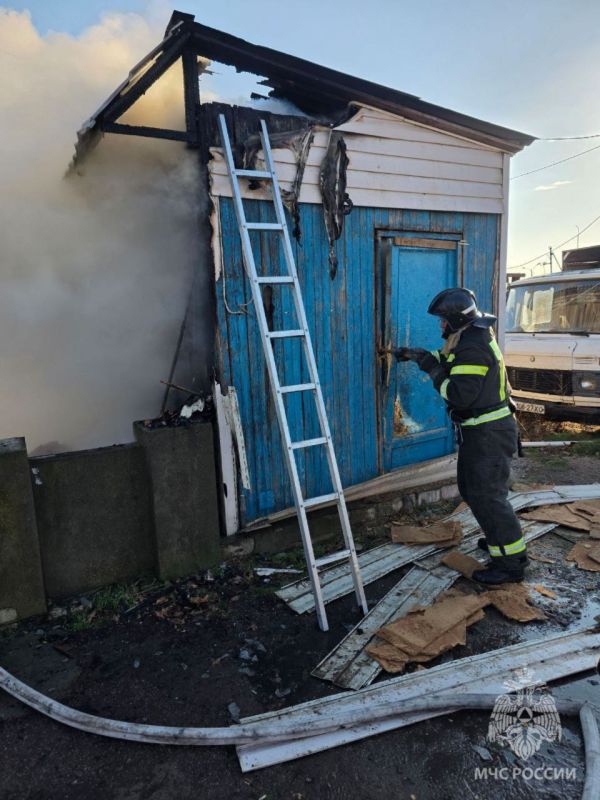 #�������������84. ��������� ��� ������ ������������� ����� � ������������ � ������� �������� �� ����� ������������ ������ ������������� ���������