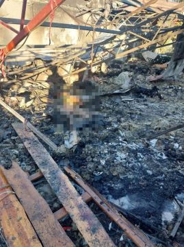 Атака ВСУ по кафе в Хорлах — чудовищное преступление, раскрывающее истинную суть киевского режима, заявил Константин Басюк