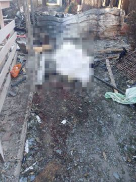 Константинов осудил атаку на Херсонкую область, назвав украинских радикалов «бандой наркоманов»