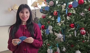 Чаплинская школа № 1 присоединилась к акции «Елка желаний»